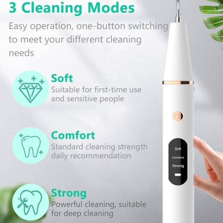 Ultrasonic Electric Dental Scaler Teeth Plaque Cleaner Dental Stone Removal With LED Light, Spec: Pacakge B with Accessories - Teeth Whitening by buy2fix | Online Shopping UK | buy2fix