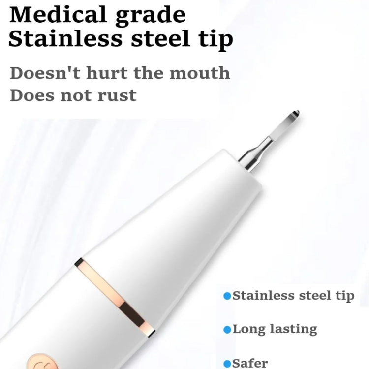 Ultrasonic Electric Dental Scaler Teeth Plaque Cleaner Dental Stone Removal With LED Light, Spec: Package A with Accessories - Teeth Whitening by buy2fix | Online Shopping UK | buy2fix