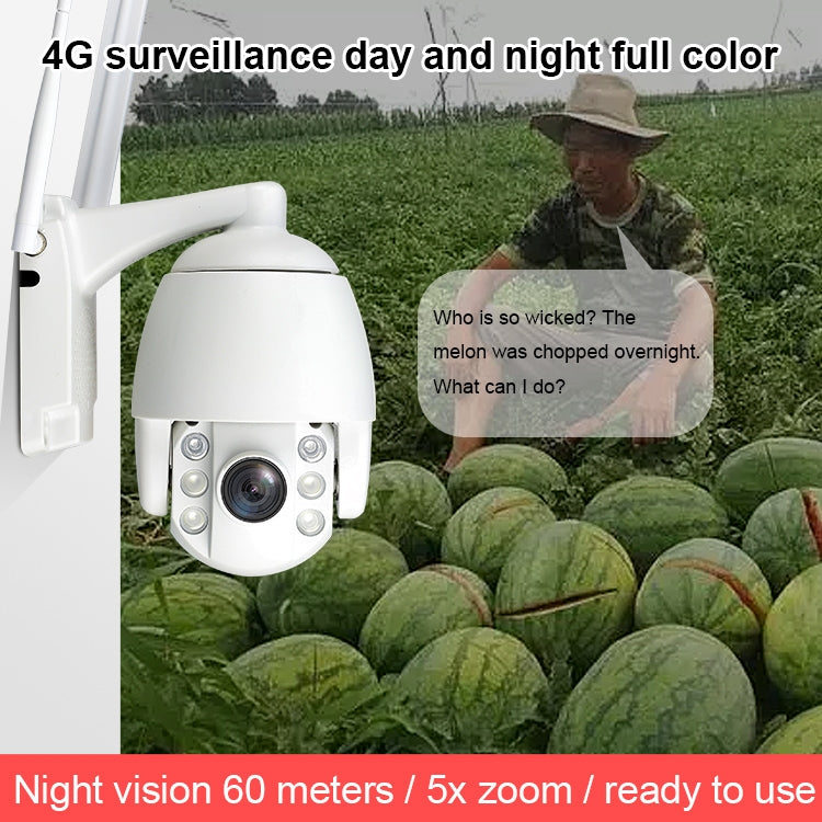 QX2 4G (US Version) 1080P HD 360 Degrees Panoramic Day and Night Full-color Waterproof Smart Camera, Support Motion Detection / Two-way Voice / TF Card, US Plug - Security by buy2fix | Online Shopping UK | buy2fix