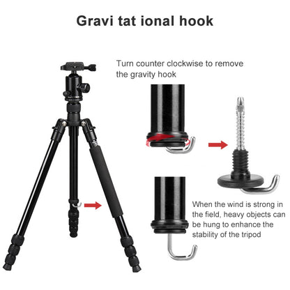 TRIOPO Oubao TA300 Adjustable Portable Aluminum Alloy Tripod with Ball Head for SLR Camera - Camera Accessories by TRIOPO | Online Shopping UK | buy2fix