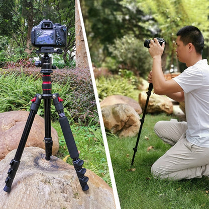TRIOPO Oubao A-208S Adjustable Portable  Aluminum Alloy Tripod with Ball Head for SLR Camera - Camera Accessories by TRIOPO | Online Shopping UK | buy2fix