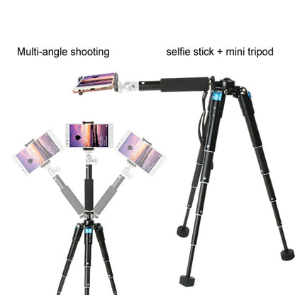 BEXIN MS15 Multifunctional Desktop Mini Camera Tripods for Camera Self-Timer Mobile Phone - Camera Accessories by BEXIN | Online Shopping UK | buy2fix