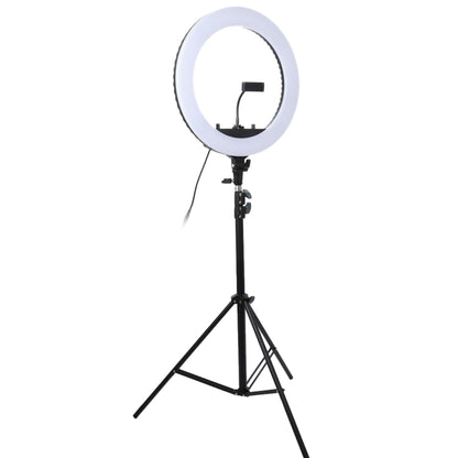 18 inch 55W Two-speed Dimmable Anchor Photography Self-timer LED Ring Fill-in Light with Tripod - Consumer Electronics by buy2fix | Online Shopping UK | buy2fix