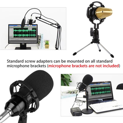 BM-700 USB Professional Condenser Microphone - Consumer Electronics by buy2fix | Online Shopping UK | buy2fix