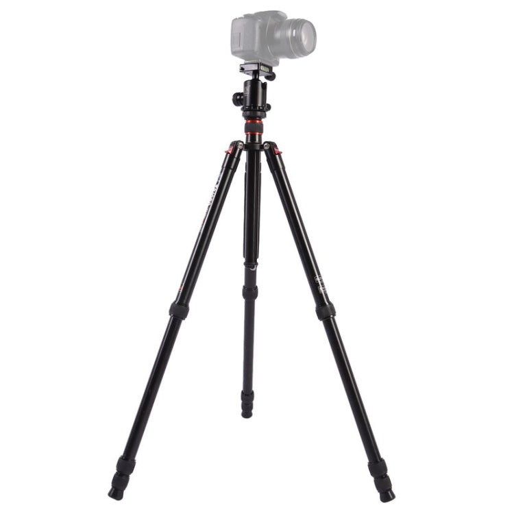 Triopo MT-2804C Adjustable Portable Aluminum Tripod (Gold) with NB-2S Ball Head (Black) for Canon Nikon Sony DSLR Camera - Camera Accessories by TRIOPO | Online Shopping UK | buy2fix