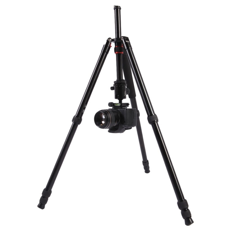 Triopo MT-2804C Adjustable Portable Aluminum Tripod (Gold) with NB-2S Ball Head (Black) for Canon Nikon Sony DSLR Camera - Camera Accessories by TRIOPO | Online Shopping UK | buy2fix