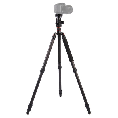 Triopo GT-2804X8.C Adjustable Portable Carbon Fiber Tripod with B-2 Aluminum Ball Head for Canon Nikon Sony DSLR Camera(Black) - Tripods by TRIOPO | Online Shopping UK | buy2fix