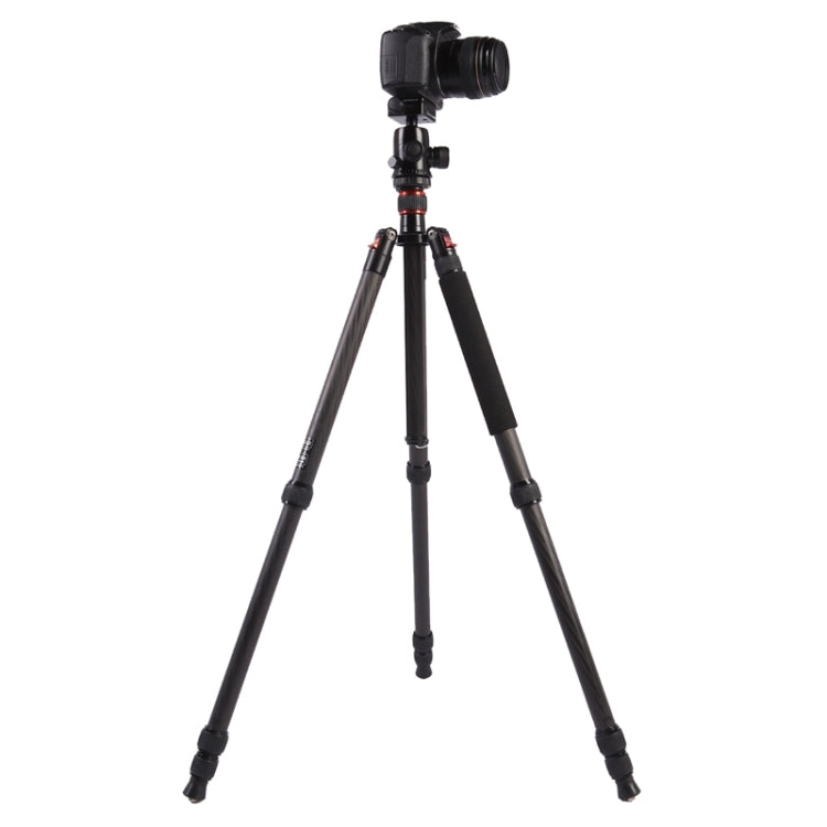 Triopo GT-2804X8.C Adjustable Portable Carbon Fiber Tripod with B-2 Aluminum Ball Head for Canon Nikon Sony DSLR Camera(Black) - Tripods by TRIOPO | Online Shopping UK | buy2fix